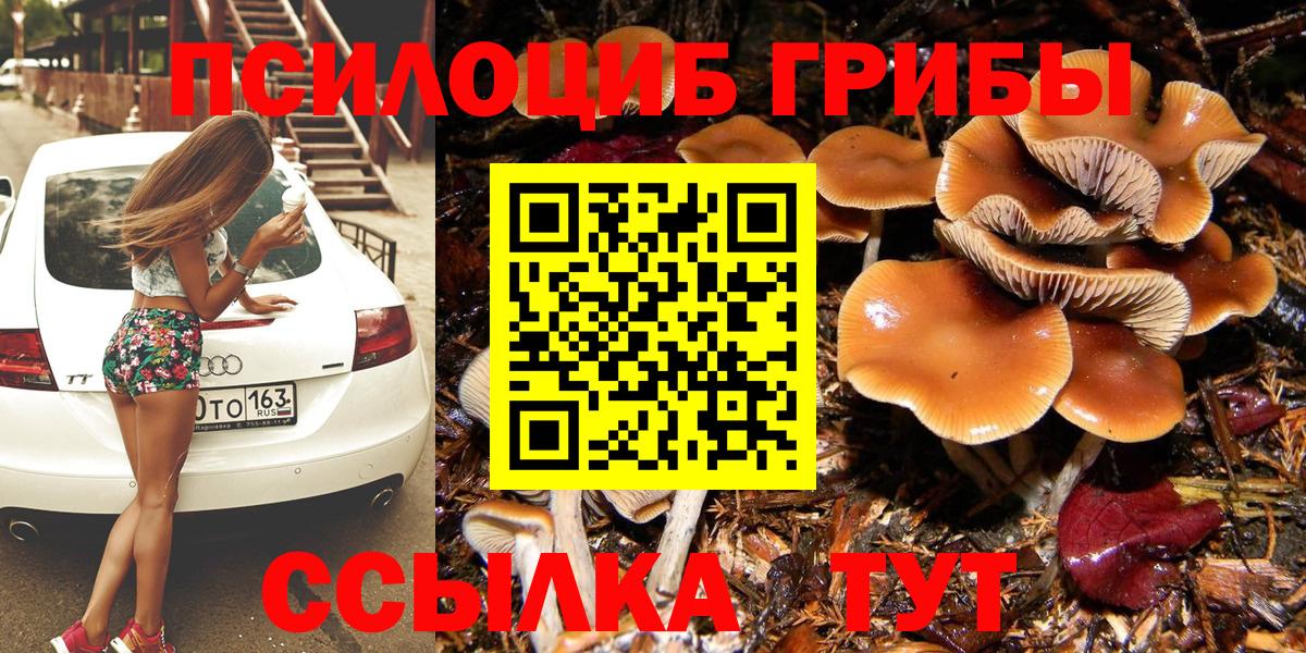 Волжск  Псилоцибиновые грибы MAGIC MUSHROOMS  где продают   Вход с VPN 